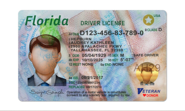 Florida Driving License Template PSD File