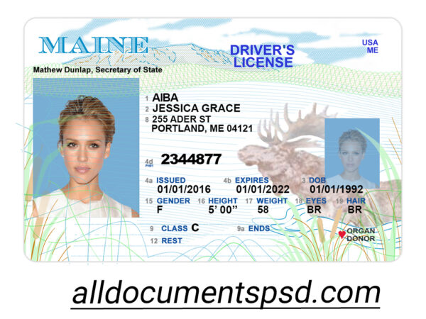 Maine Driving License PSD Template