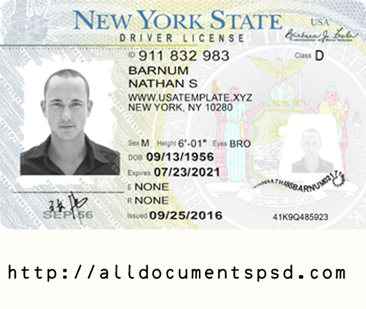 New York Driving License PSD Template