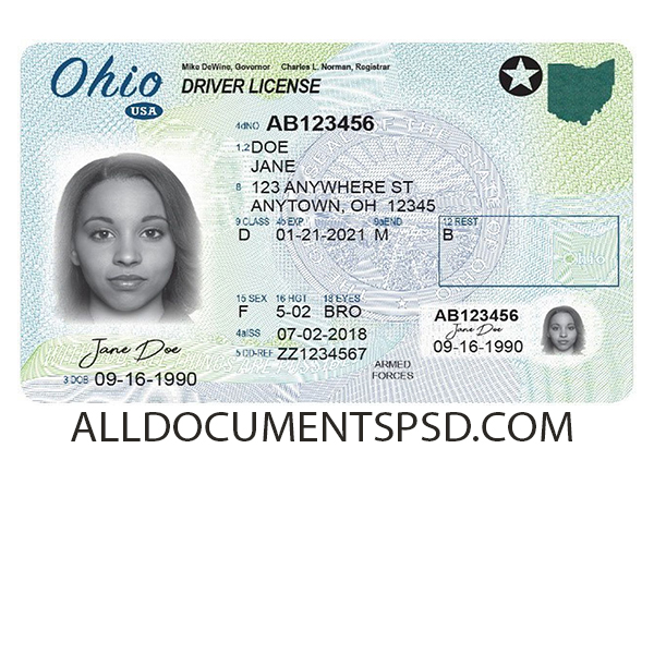 Ohio Driving License Template PSD